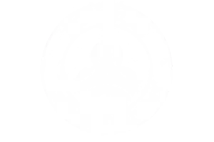 logo-footer